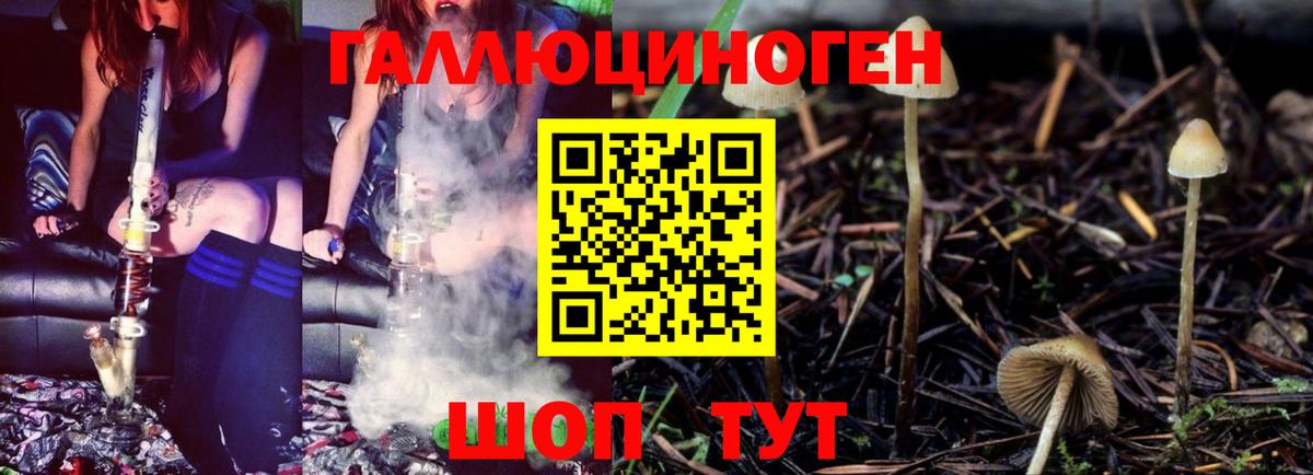 Павлово  Галлюциногенные грибы прущие грибы  Вход с VPN 